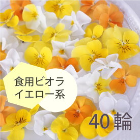 エディブルフラワー イエローミックス 40輪 ビオラ 食用花 デコレーション 推しカラートッピング 製菓材料 ケーキ スイーツ 国産 クリスマス 焼き菓子 プレゼント ギフト お菓子作り クッキー缶 アイシングクッキー ウエディングケーキ