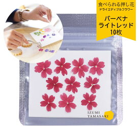 ドライ エディブルフラワー 【バーベナ ライトレッド 10枚 】 乾燥食用花 食べられる押し花 デコレーション トッピング 製菓材料 ケーキ スイーツ アイシングクッキー マカロン 焼き菓子 国産 クリスマス 焼き菓子 プレゼント ギフト お菓子作り