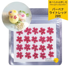 ドライ エディブルフラワー 【バーベナ ライトレッド 20枚 】 乾燥食用花 食べられる押し花 デコレーション トッピング 製菓材料 ケーキ スイーツ アイシングクッキー マカロン 焼き菓子 国産 クリスマス 焼き菓子 プレゼント ギフト お菓子作り