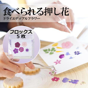 Hׂ鉟ԁytbNX ܂5 zʃpbN hCGfBut[ Hp fR[V gbsO ٍޗ P[L XC[c ACVONbL[ }J Y 