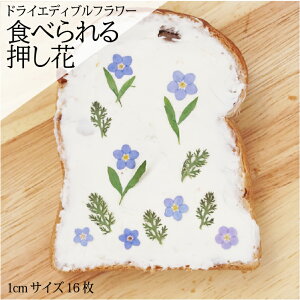 hC GfBut[ Hpԁy݂돬 1Z`TCYz  16 fR[V gbsO ٍޗ P[L XC[c ACVONbL[ }J Y N