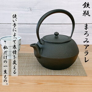 y26`2710Si|Cg3{zSr y ܂݃A 1L 암S {  암Sr OIGEN kettle JAPAN S⋋ Ss n\h  ₩ z[[HȂ 茧