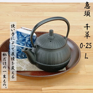 y1420`1528ԌN[|z}{ y 瑐 0.25L 암S {OIGEN kettle JAPAN