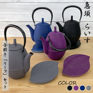 y9SiP10{!Xoi[Gg[z⒒ }{炢ƃ[t̊~̃Zbg i  ^ O[v ^[bpu[ ^ O[ j 암S {Iwachu kettle JAPAN