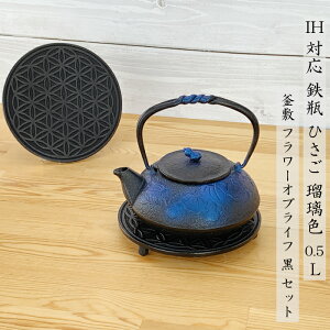 }{ Srp yx IHΉ Ђ ( ڗ ^  ^ Ђ ) 0.5L 암S {  kettle OITOMI JAPAN