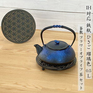y11/15205OFFN[|z}{ Srp yx IHΉ Ђ ( ڗ ^  ^ Ђ ) 0.5L 암S {  kettle OITOMI JAPAN