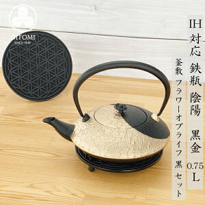 y11/1聚ő800~OFFN[|z}{ Srp yx IHΉ Az ( Ő ^  ) 0.75L 암S {  kettle OITOMI JAPAN