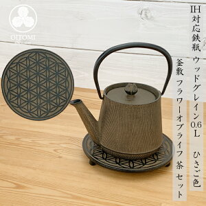 }{ Srp yx IHΉ EbhOC ( Ђ ^ [W ^ XiOT ) 0.6L 암S {  kettle OITOMI JAPAN
