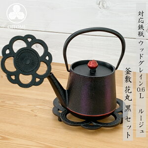 }{ Srp yx IHΉ EbhOC ( Ђ ^ [W ^ XiOT ) 0.6L 암S {  kettle OITOMI JAPAN
