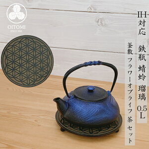 y16`1710Si|Cg3{z}{ Srp yx IHΉ x (  ^ ڗ ) 0.5L 암S {  kettle OITOMI JAPAN