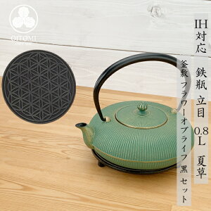 �}�{ �S�r���p �y�x IH�Ή� ���� ( �đ� / �� / �Ђ��� / ���� ) 0.8L �암�S�� ���{�� ���� kettle OITOMI JAPAN