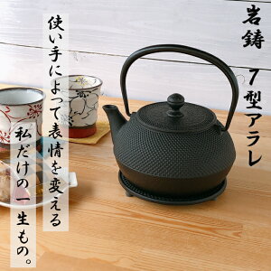 y9SiP10{!Xoi[Gg[zSr ⒒ IHΉ 7^A 0.9L 암S {  암Sr Iwachu kettle JAPAN S⋋ Ss n\h  ₩ z[[HȂ 茧
