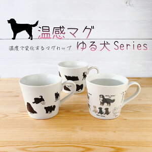 }O@錢@sakio g  R[q[ }OJbv  킢 G G ʍD̂߂̃}OJbv 錢V[Y }O