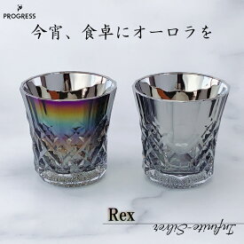 Rex ロックグラス 265ml ( Infinite ／ Silver )【宇宙開発技術×職人の手仕事】PROGRESS チタングラス 伝統工芸 グラス チタン 日本伝統工芸 オーロラ プレゼント ギフト 美しい 綺麗 おしゃれ 癒やし インスタ映え お酒 飲み物 コップ 結婚祝い 恋人 クリスマス