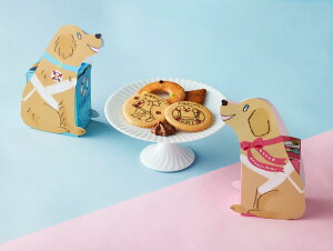 ySiP10{}\z()  X ӓBOXMtg Y Ăَq 蕨 lߍ킹 َq    lC L mَq 44 Ε NX}X