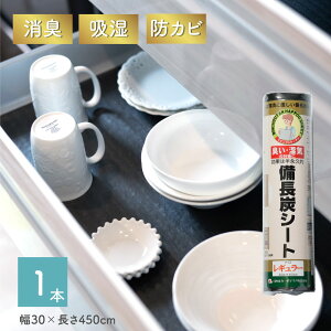 YV[g 30×450cm 1{@HIV[g@Lb`ErOEʔp g蔲QI  L hJr ~J΍ I΍ JԂg HI