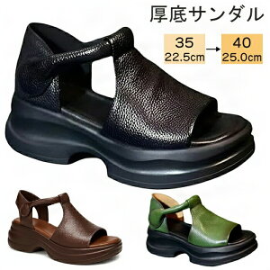 uvT_ fB[X Ȃ 5cm ꂢ I[vgDEFbW\[T_  T_ PU fB[X ̌ xNfUC 4E  [} r Ȃ 