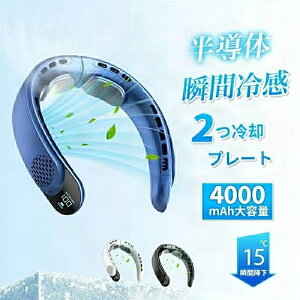 񂩂 @ HȂ lbNN[[ pv[g gѐ@ @Jo[ 4000mAhe {2pv[g 񂩂@