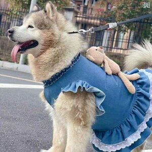 킢 p s[X ybg    TGh S[fgo[ AXJ ^ ^ fjxXg XJ[g t