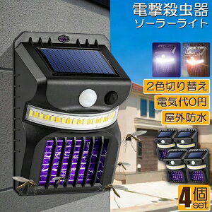 dE E \[[Cg 4Zbg led ZT[Cg 悯 Ɩ  gp\ _lZT[Cg  RoG