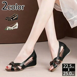  I[vgD pvX T_ T_ ItBXT_ Xj[J[ Ȃ _炩  EFbW\[ n EFbWT_ ɂȂ ₷ t  r 