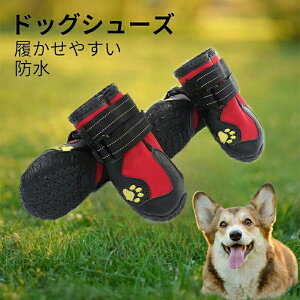  C ₷ Eɂ pC ~ ^C C ̌C  h EȂ Eɂ ibNO  J Up ^ ^ ₷ ^̌C  ybgV[Y