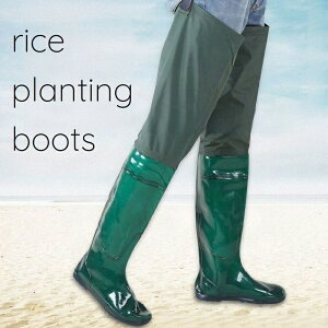 yzcApC jZbNX K[fjOu[c K[fjOV[Y ~ h Vv n ₷ 芴 ֗