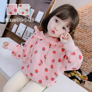 p[J[ gbvX N vI[o[ t[ht   n ̌^Jo[ g ~ q tH~   vg qǂ  WjA ʊw /w/p[