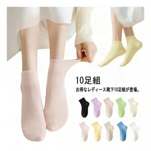 10Zbg Ȃ V[g ʊw V[g\bNX fB[X q C wl  C  Xj[J[ XN[ w 10p  X|[c v[g  ̎q 22cm 25cm hL 