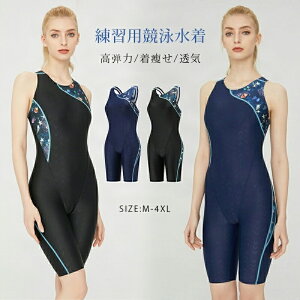 j tBbglX Kp v[ g[jO  ̌^Jo[ tBbglX jKp Xs[h Xpbc^Cv 傫TCY fB[X Y