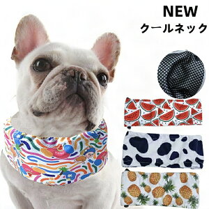 NEW N[lbN  2025Nf  ΍ Ђ [ht ۗ܃Xk[h  nh A~