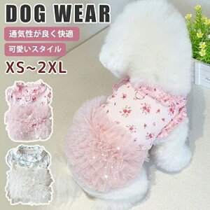  ĕ s[X Ђ  xbh ėp ^ xbh t  hbOEFA hX Vv v`v   o