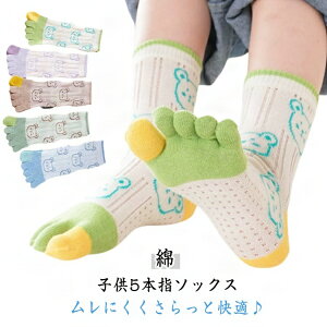 4Zbg q LbY bV ܖ{wC ̎q ʋC 5{wC Ȃ z WjA ȍ N[ \bNX ܖ{w\bNX RۖhL  j̎q 5{w\bNX  