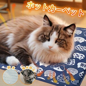 yr[TJo[zybgpzbgJ[ybg 45×45cm 45×70cm ybgq[^[L  h zbgJ[ybg dCѕz ybgpq[^[ ybg}bg PESF ybgѕz x dM