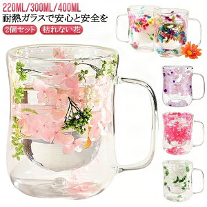 t[ ۗ 220ml/300ml/400ml }OJbv ϔMOX d\ _uEH[ 2Zbg IȂ Rbv R[q[  _uEH[ ۉ OXJbv eB[Jbv   