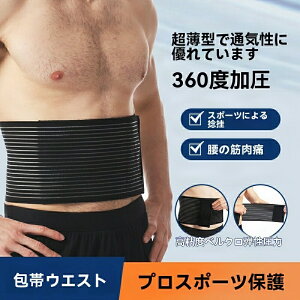 ySLkE^zėp 17cm T|[^[E jp ʋCQ ŉK _XEX|[cEtBbglXp Œxg