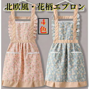 JtFGv NbLO  k NbLOV[g JtFGv kNX}Xc[ kJ[ybg kc[ Mtg ̓Gv ̓ Lb`Gv 