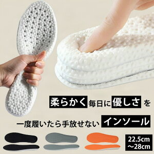 ySXp10IzC\[ d ɂ Ռz ӂӂ ؖ ʋC ؗ̓T|[g R hL TCY pP G ~ X|[c jO Y fB[X 