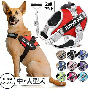  n[lX  [h Ԕ p p[n[lX ybgp  ^ ^ ^ ȒP ߉\ Eoh~ SȂ y U ۉ h  Eoh~ y ʋC 