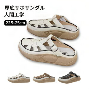  T{T_ L EH[LOV[Y T_ T_  Oǂ gAbv5cm lԍHw Xb| JWAV[Y yʐ݌v ~ r ʋC