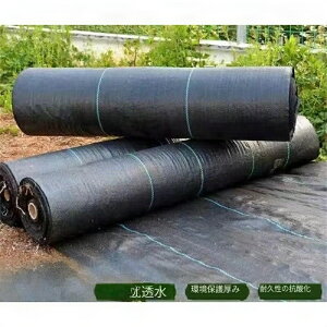 hV[g 3m × 100m ʐϐp 1{ 100[g \[[pl   | V[g  K[fjO  ubN _p