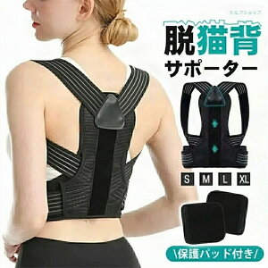 yzp l q pP w؋ pxg p␳  Lwxg pT|[^[