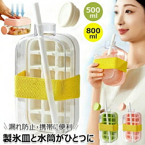 製氷器 氷型 アイス型ボトル 2in1 水筒がひとつに 蓋とストロー付き 製氷ボトル 製氷皿 アイスボール ウォーターカップ アイスキューブケトル ワンタッチで氷取り出し アイスモールド 漏れ