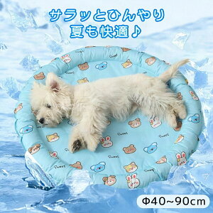  ybgxbh ėp ⊴ ybgN[}bg 傫 ⊴WF Ђ}bg MǑ΍   N[ Ђ ΍ ^ ^ ybgxbh  ڐG⊴f t