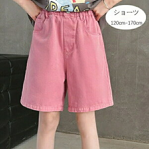 ؍q ̎q W[Y fjpc sN V[gpc LbY V[c Y{ {gX Y{  fjpc Ē o w qǂ ǂ ̎q fjV