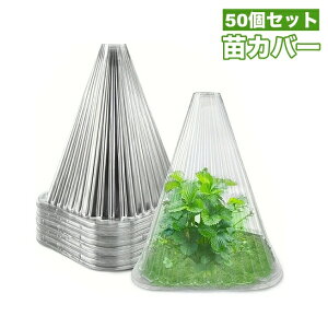  cJo[ 50Zbg ch[ cLbv cK[h یJo[     ƒ؉ K[fjO ƒ_ |pi ȒP NAJ[  ֗ObY Op R