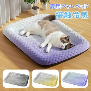  xbh ėp ⊴ L p 􂦂   ^ ybgxbh  ڐG⊴f tybgNbV ybg~pbh xbh \tgN[}bg ybg}bg N[}bg 