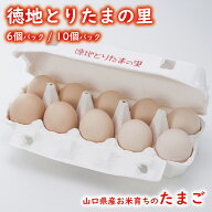 徳地とりたまの里（6個パック / 10個パック / お米育ちのニワトリのおくりもの / こめたまご / ピンク玉 …