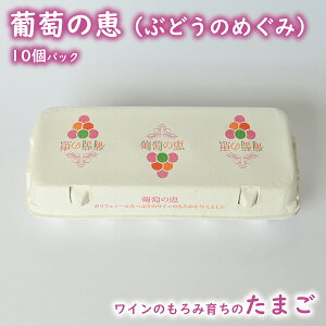 ̌bi6pbN / 10pbN / Ĉ݈炿̃jĝ / sN / Yn / ܂_ / o_t@[j