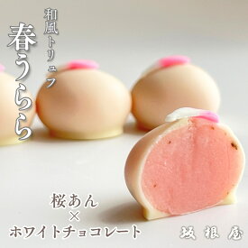 【 ホワイトデー 】坂根屋 春うらら 和チョコ 和トリュフ ホワイトチョコレート 桜チョコ 桜あん 出雲 お土産 高級 ギフト 和スイーツ 9個 5個 3個 国産 人気 和菓子 お菓子セット 老舗 銘菓 お取り寄せ プチギフト 手土産 贈り物 お礼 和風チョコ おしゃれ お返し さくら